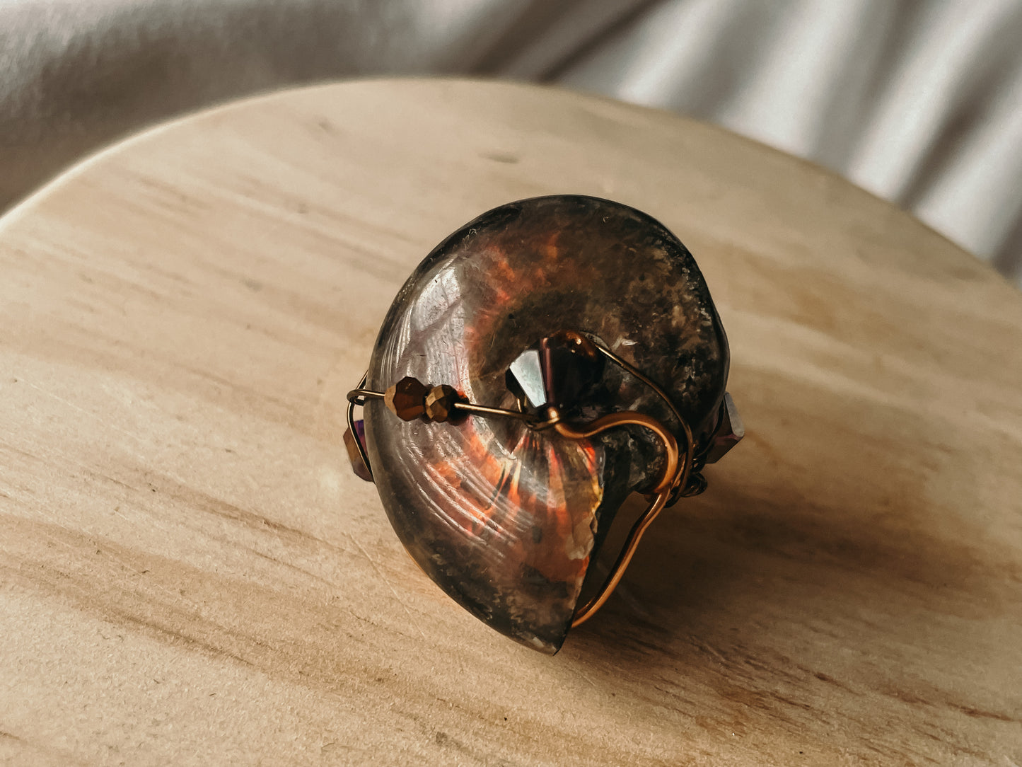 Ammonite Ring