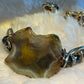 Moss agate Bracelet: grounding strength ￼