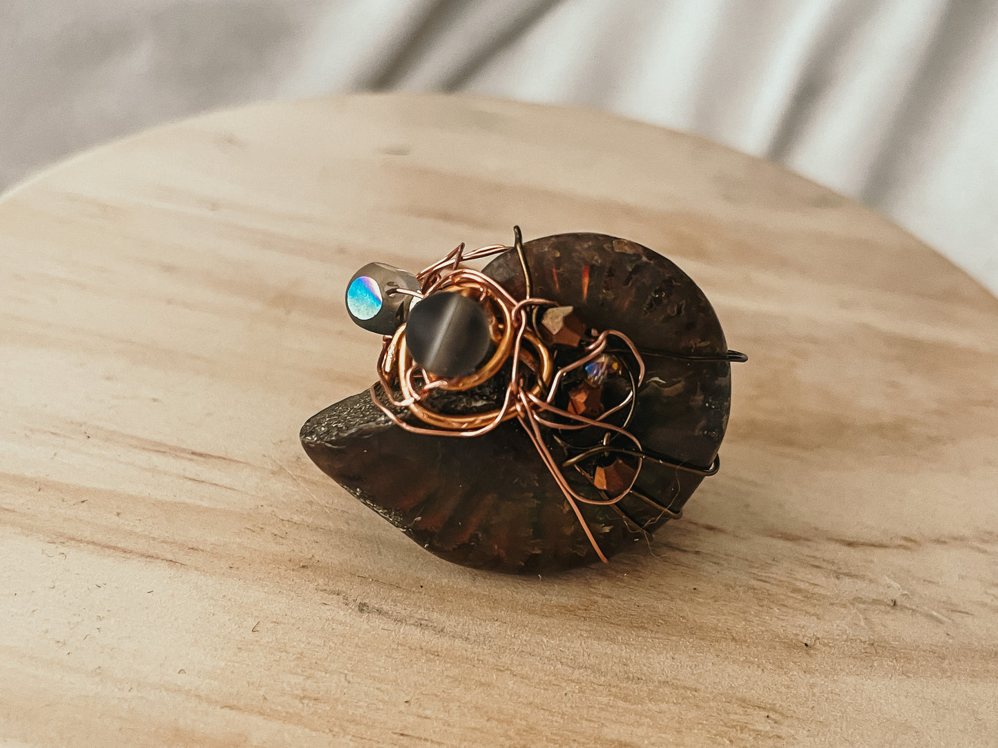 Ammonite Ring