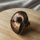 Ammonite Ring