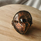 Ammonite Ring