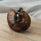 Ammonite Ring