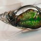 Dragon’s Eye
