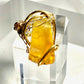 Yellow agate ring